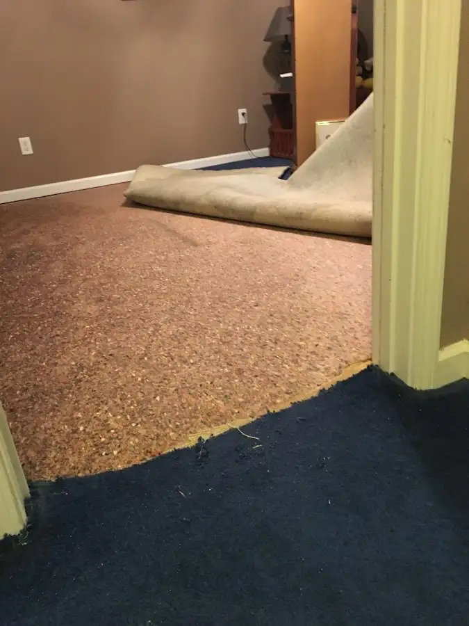 Carpet pad removal revealing water damage during Drying & Dehumidification in Upper Macungie