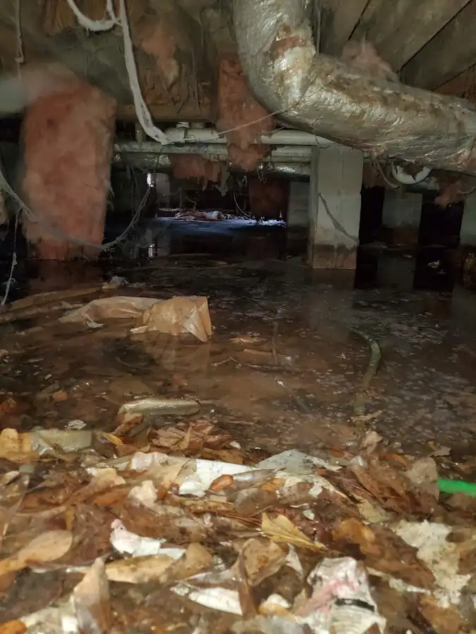 Crawl space flood assessment for Leak Detection & Repair in Upper Macungie
