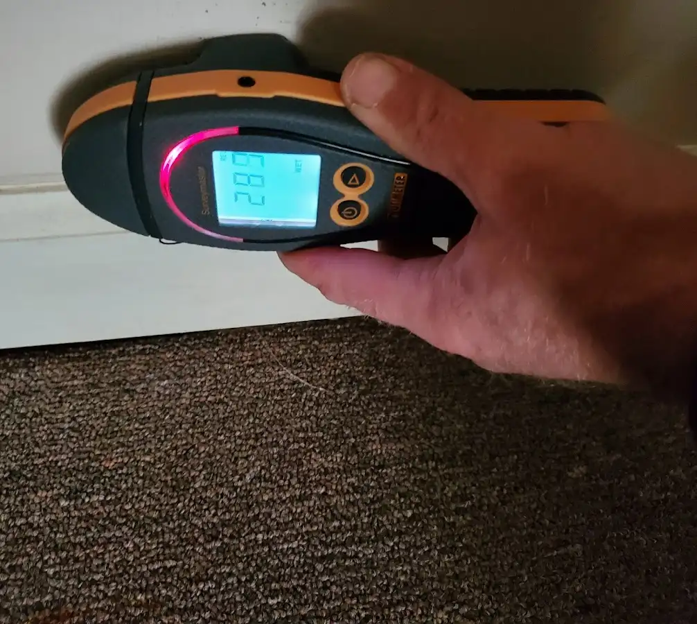 Moisture detection at baseboard during Mold Inspection & Testing in Upper Macungie
